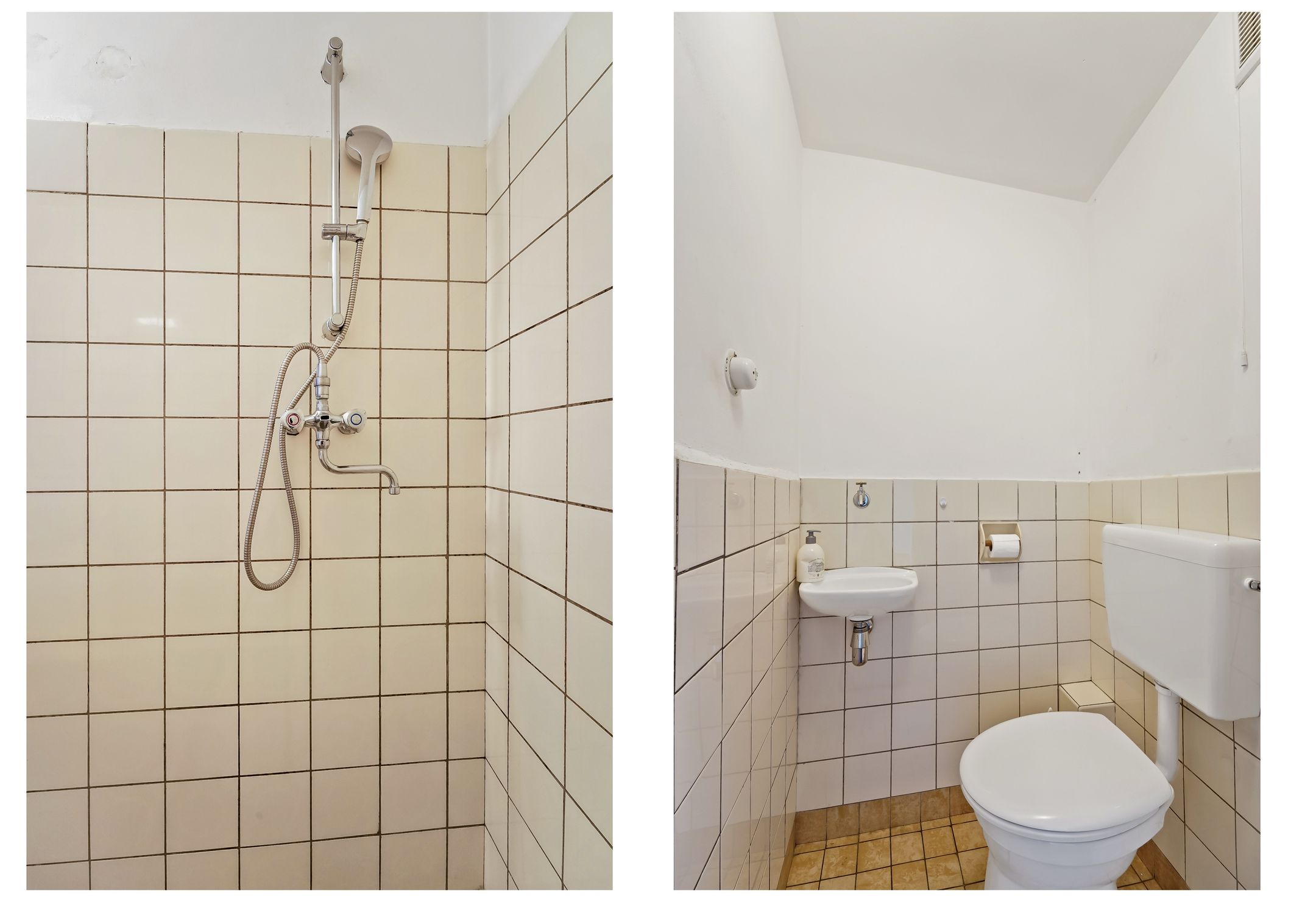 Foto 21 van Parelmoerhorst 242