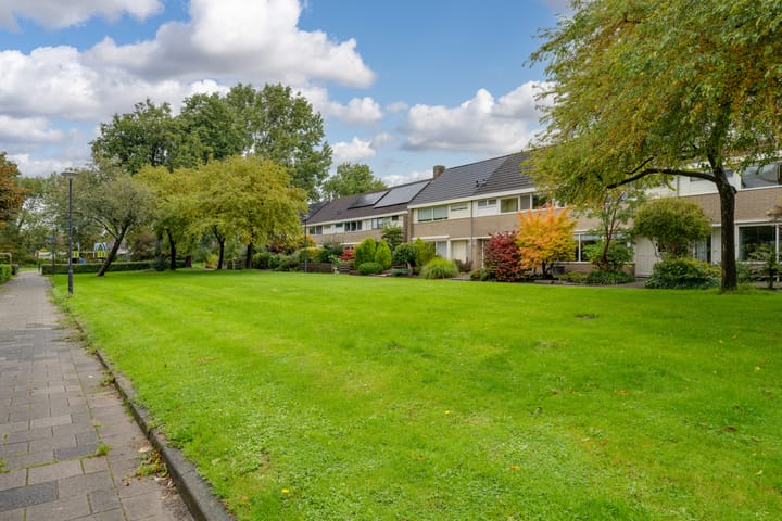 Foto 3 van Schelfhoutplantsoen 16