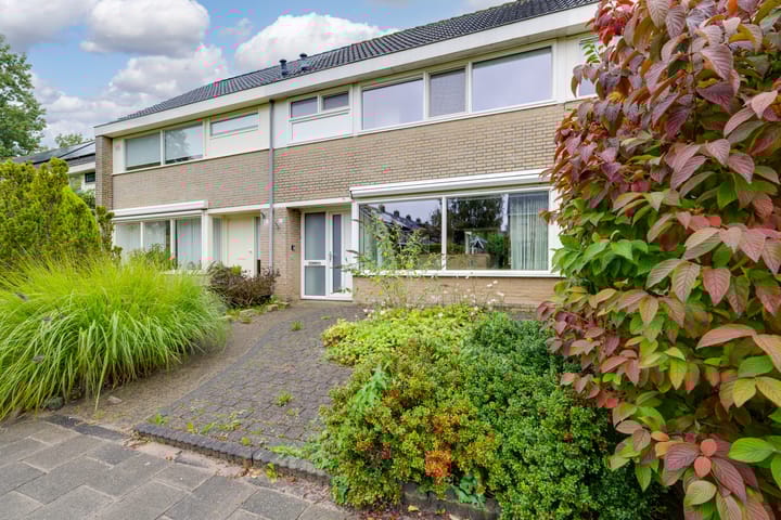 Foto 4 van Schelfhoutplantsoen 16