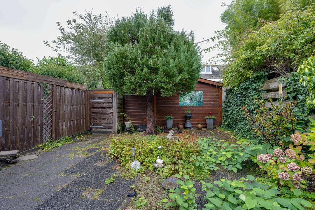 Foto 26 van Schelfhoutplantsoen 16