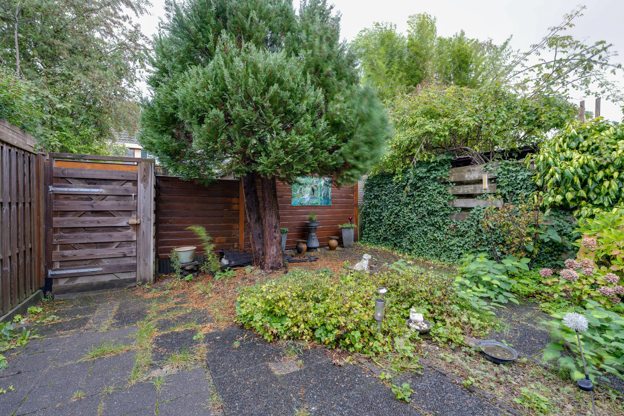 Foto 27 van Schelfhoutplantsoen 16