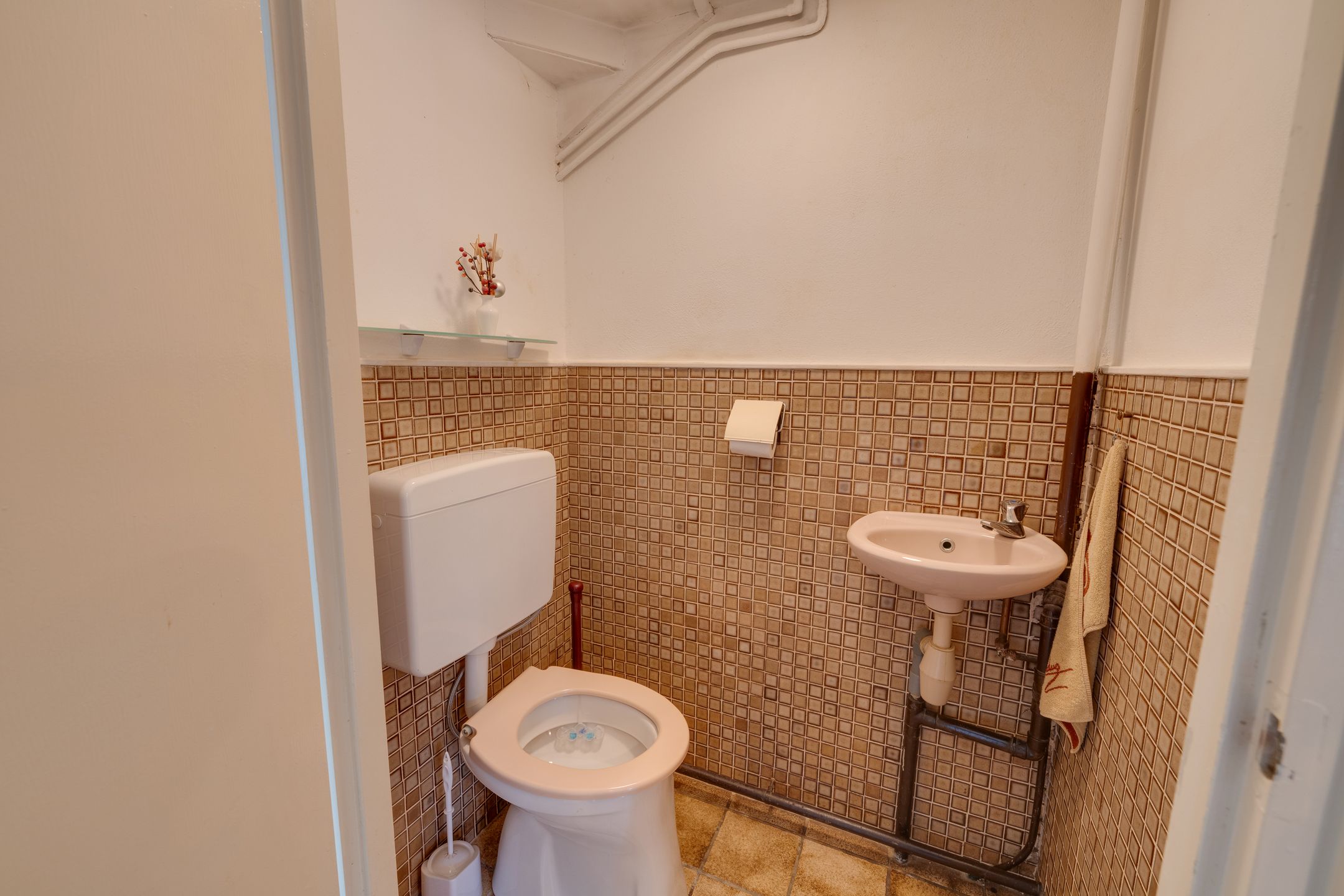 Foto 30 van Schelfhoutplantsoen 16