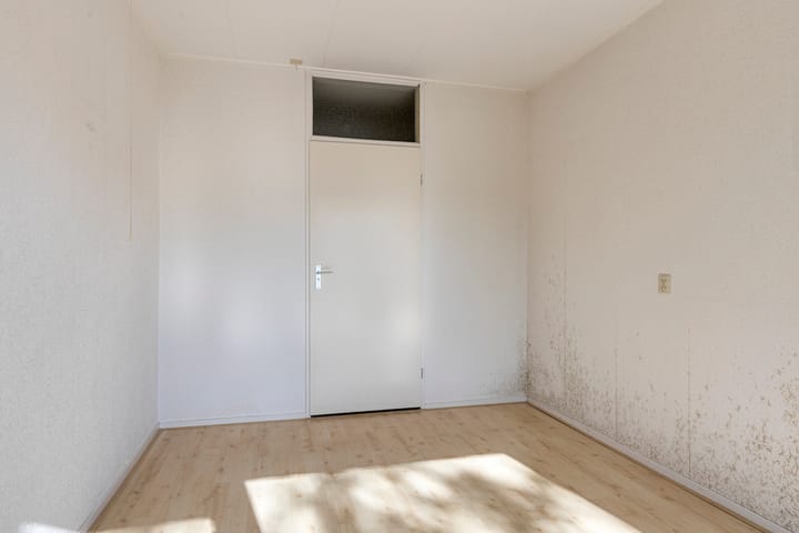 Foto 11 van Wijngaard 3