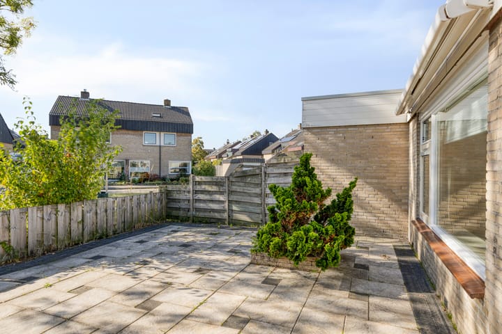 Foto 16 van Wijngaard 3