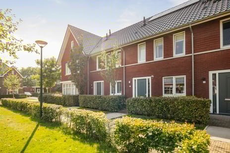 undefined main image