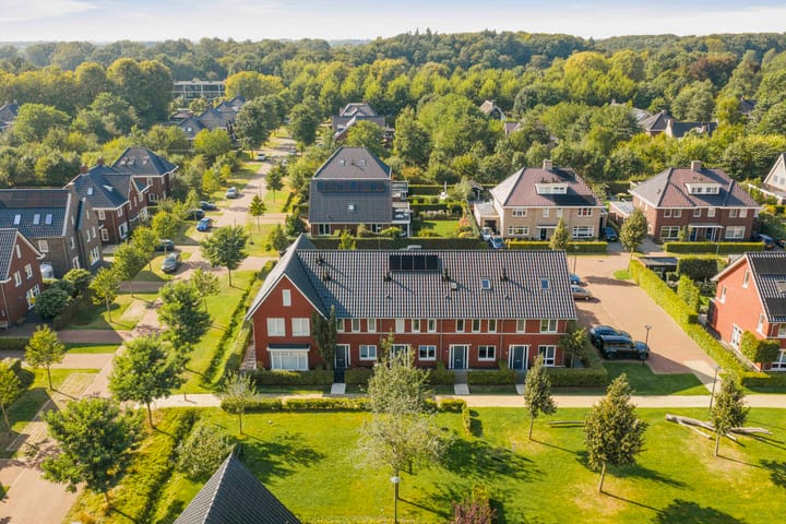 Foto 3 van Sterhyacint 25