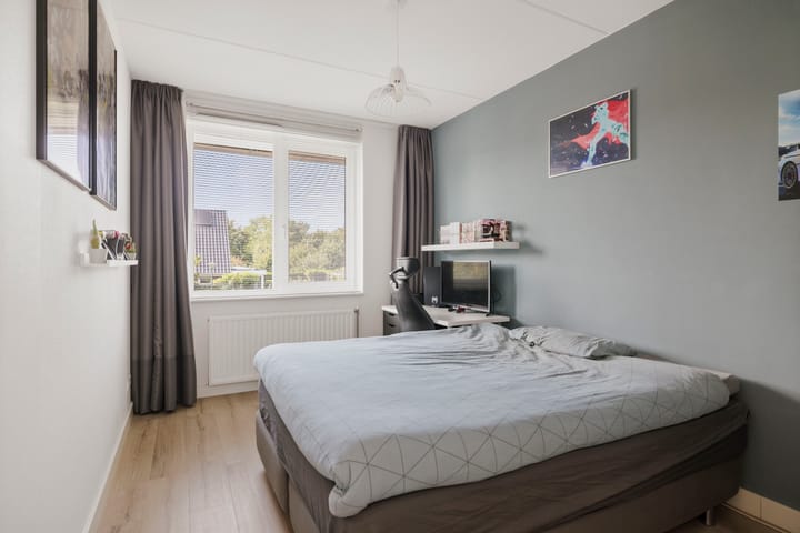 Foto 19 van Sterhyacint 25