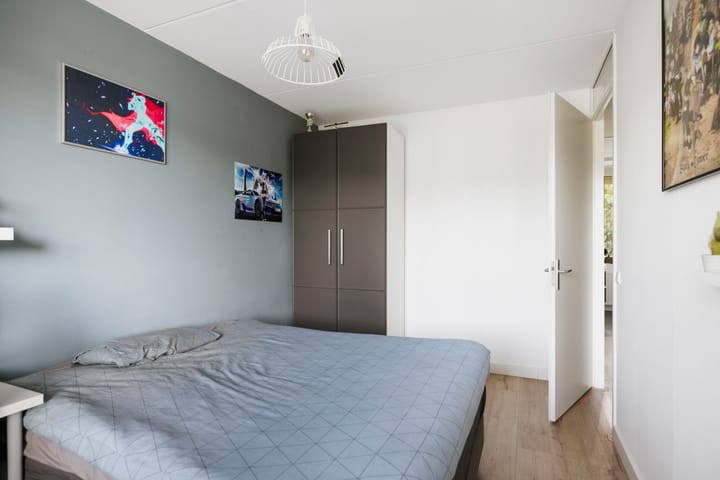 Foto 20 van Sterhyacint 25