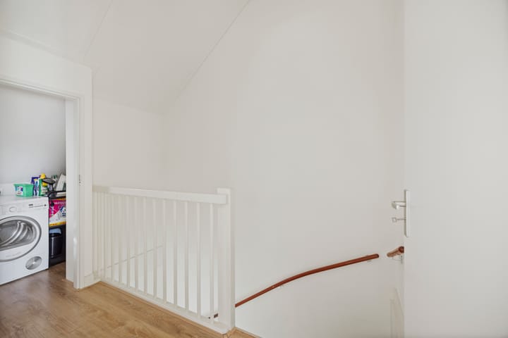 Foto 24 van Sterhyacint 25