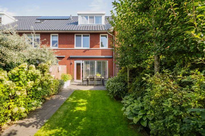 Foto 28 van Sterhyacint 25