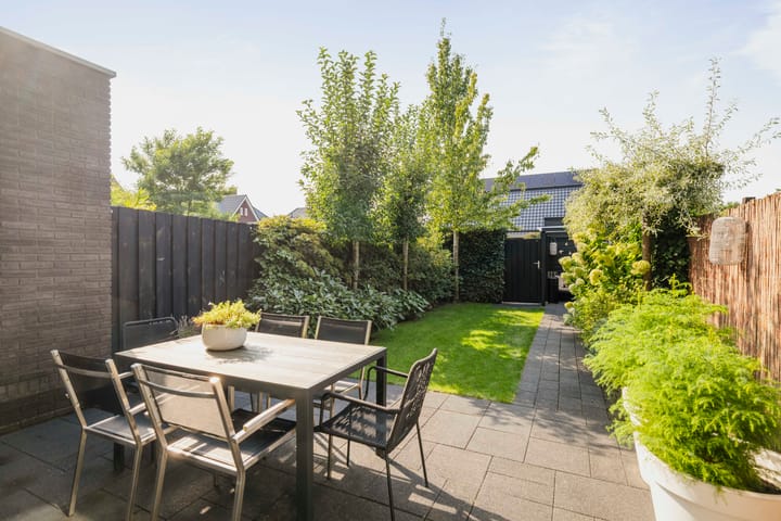 Foto 29 van Sterhyacint 25