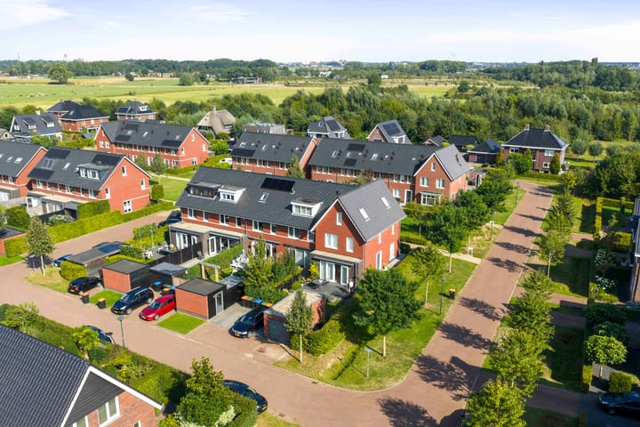 Foto 32 van Sterhyacint 25