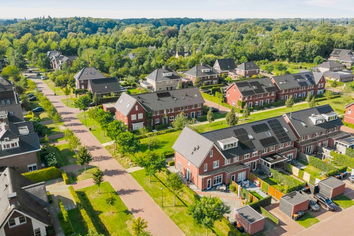 Foto 33 van Sterhyacint 25