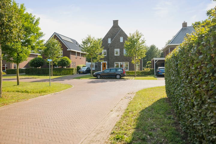 Foto 34 van Sterhyacint 25