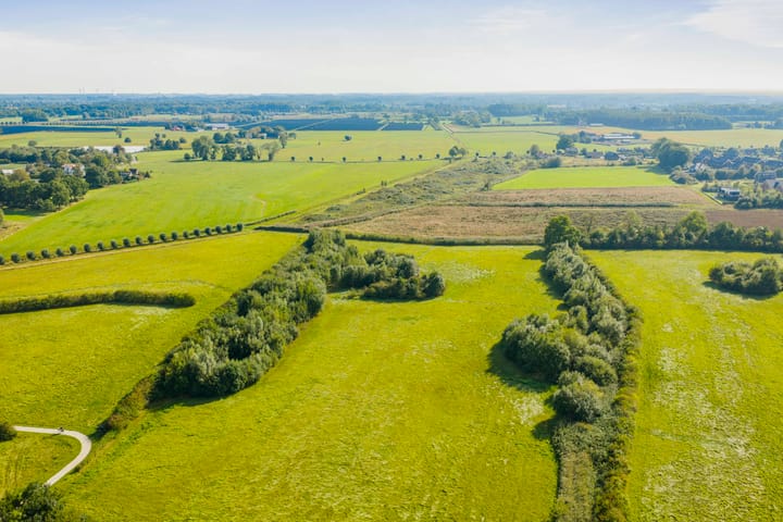 Foto 36 van Sterhyacint 25