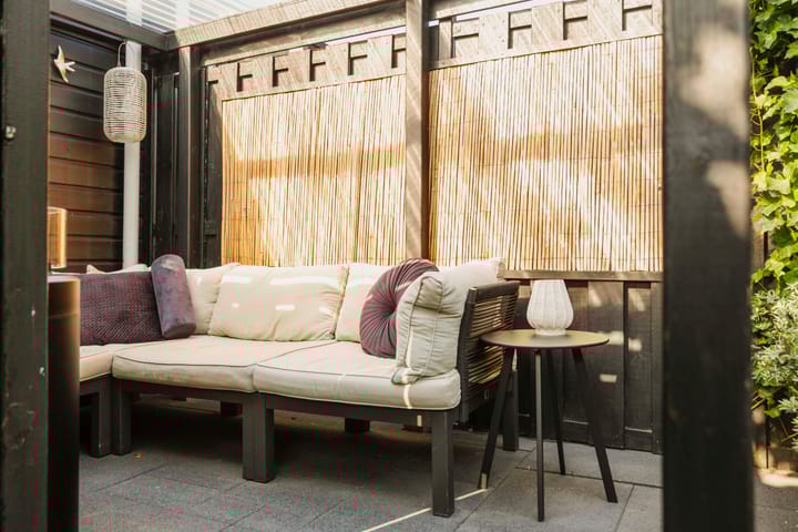 Foto 31 van Sterhyacint 25