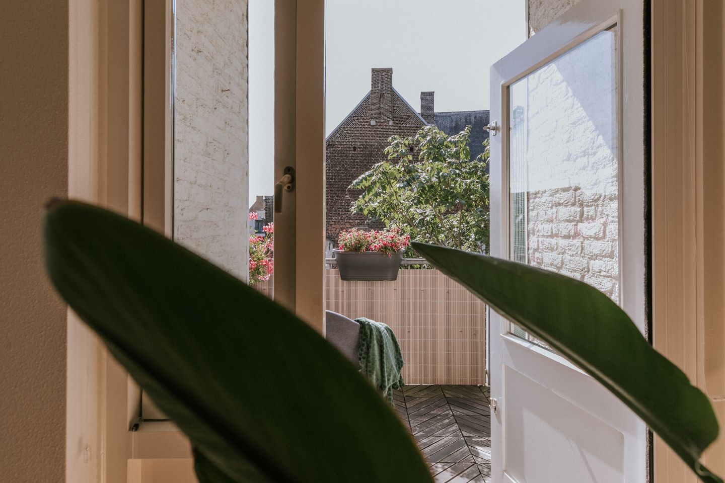 Foto 4 van Swalmerstraat 32-F