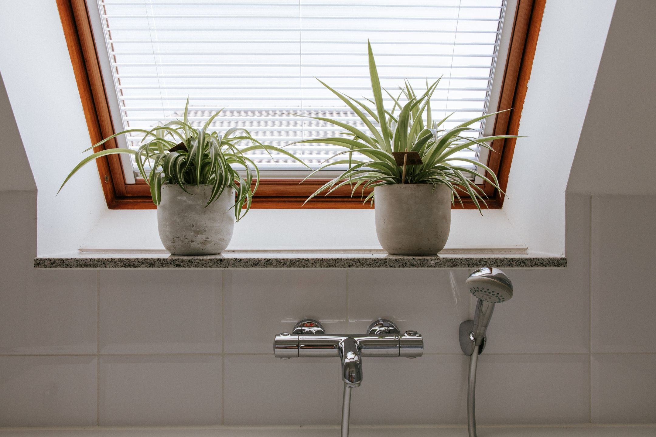 Foto 30 van Swalmerstraat 32-F