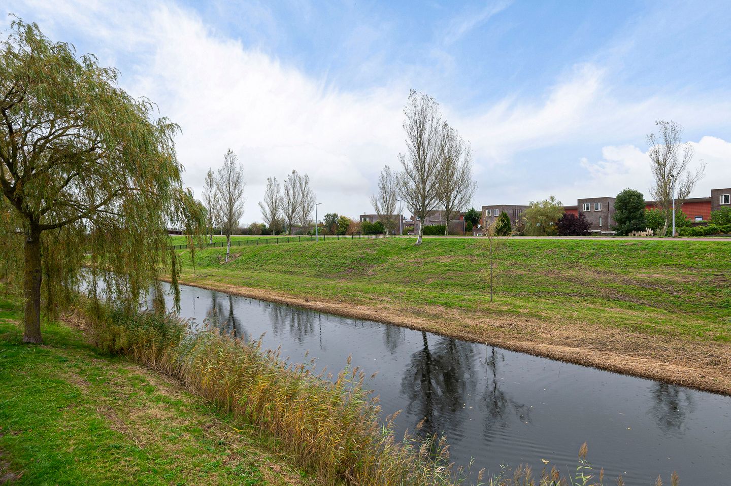 Foto 4 van Thoornpolder 52