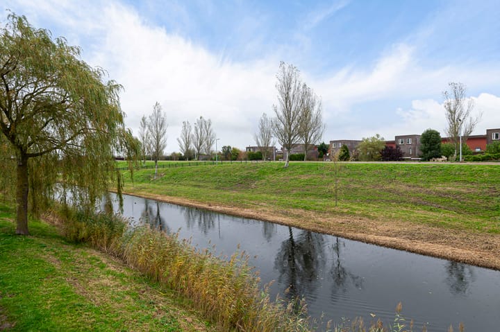 Foto 4 van Thoornpolder 52
