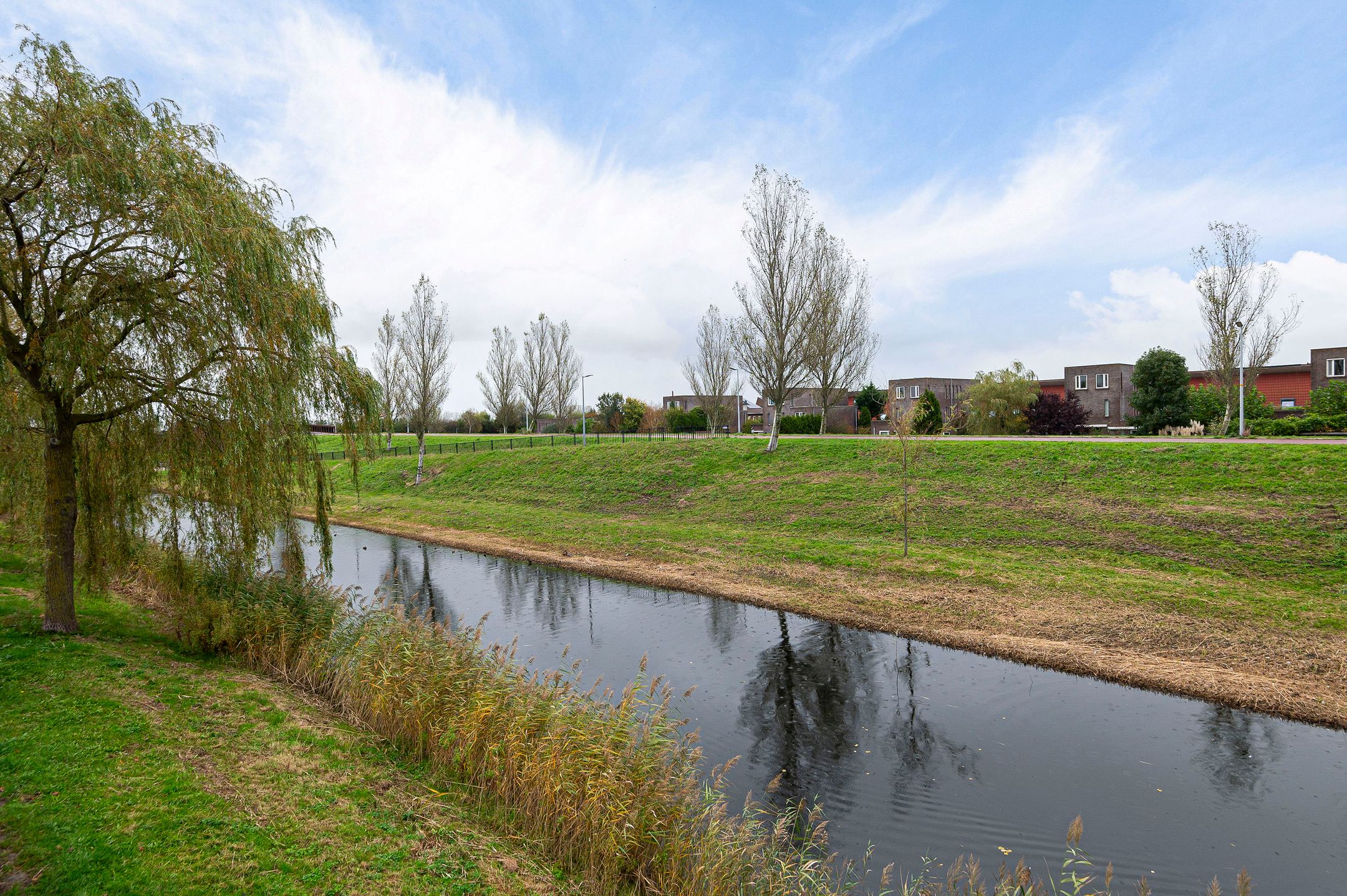 Foto 42 van Thoornpolder 52