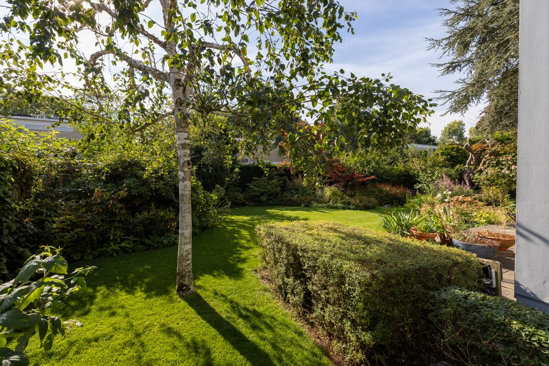 Foto 37 van Brucknerlaan 4