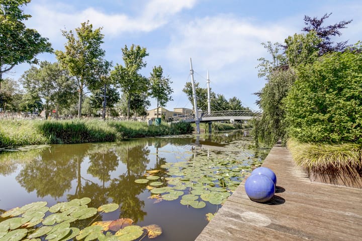 Foto 49 van Moerbeeklaan 32