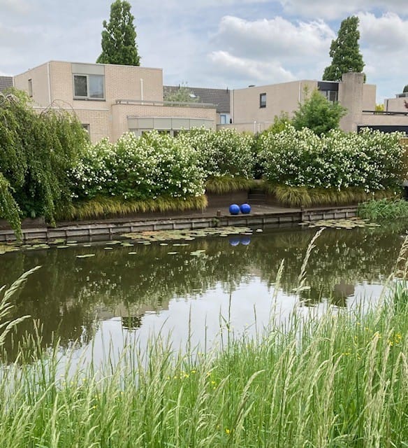 Foto 4 van Moerbeeklaan 32