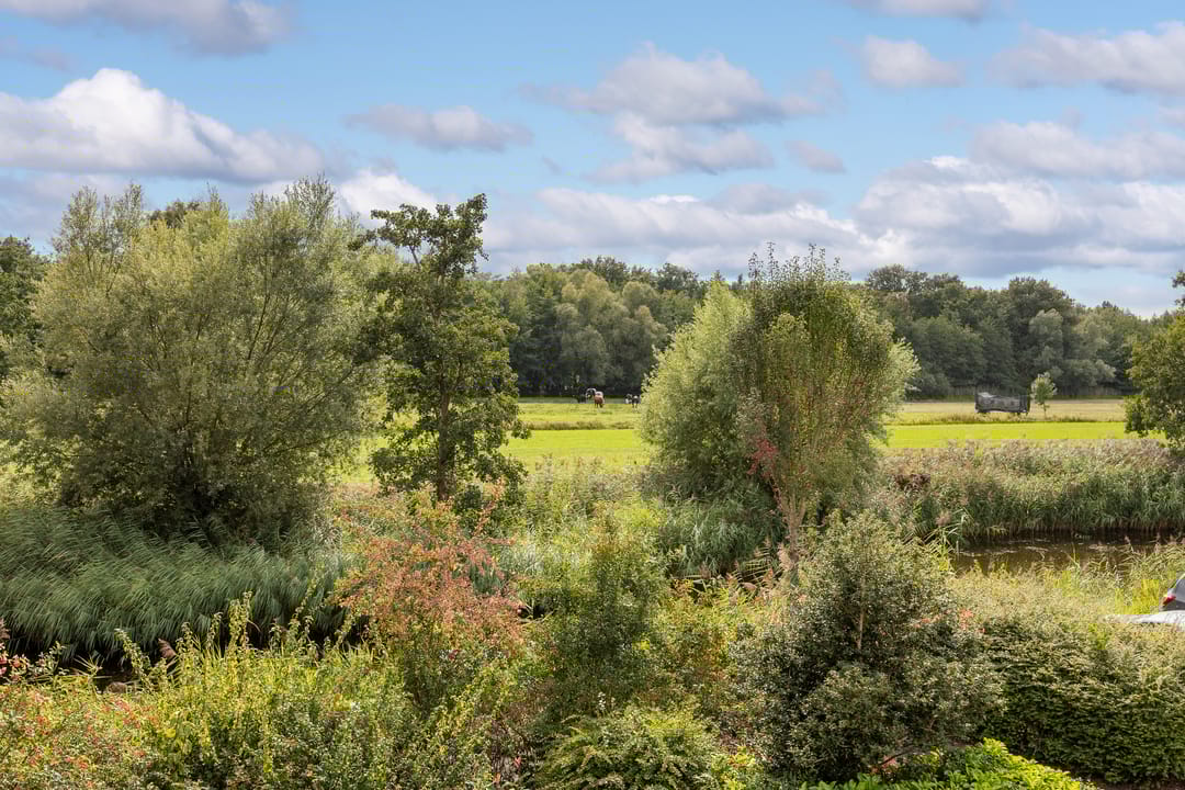 Foto 16 van Begijnhove 7