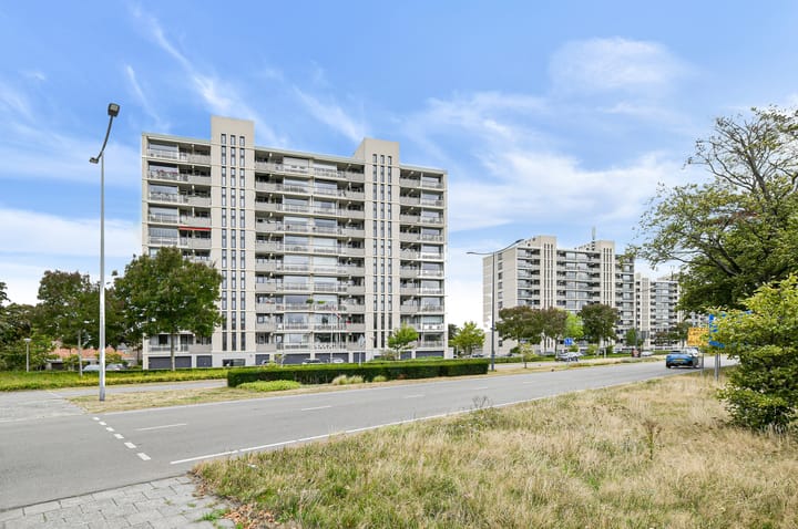 Foto 6 van Grote Spie 307