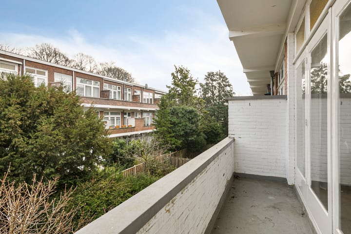 Photo 19 of Van Alkemadelaan 207