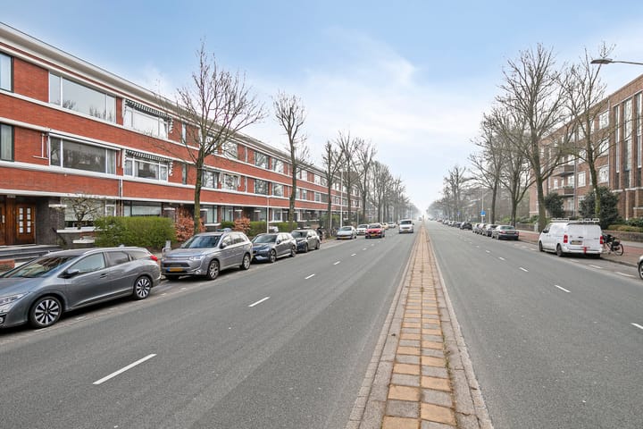 Photo 39 of Van Alkemadelaan 207