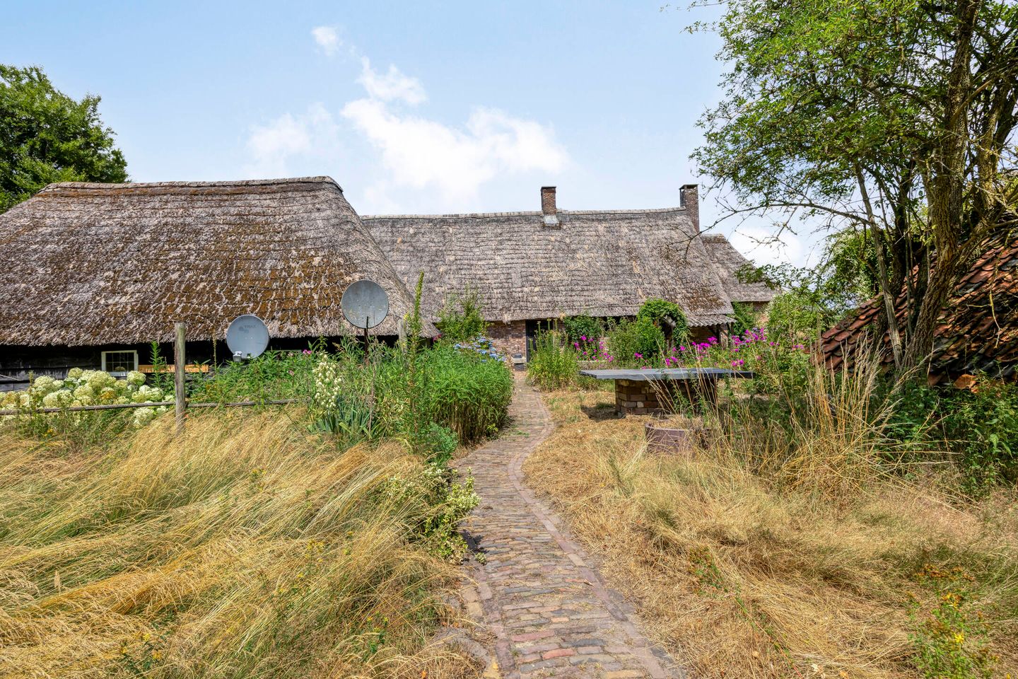 Foto 25 van Brakel 3