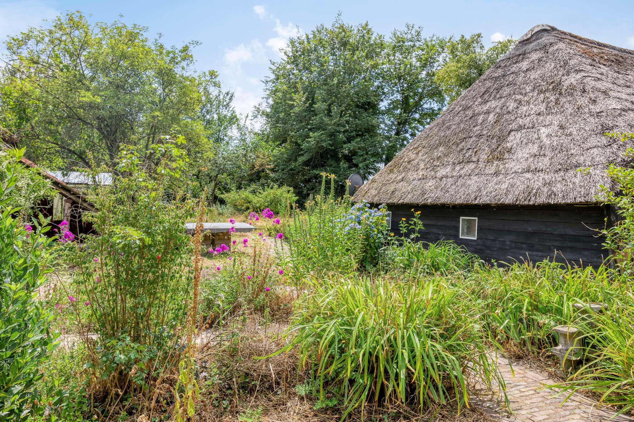 Foto 27 van Brakel 3