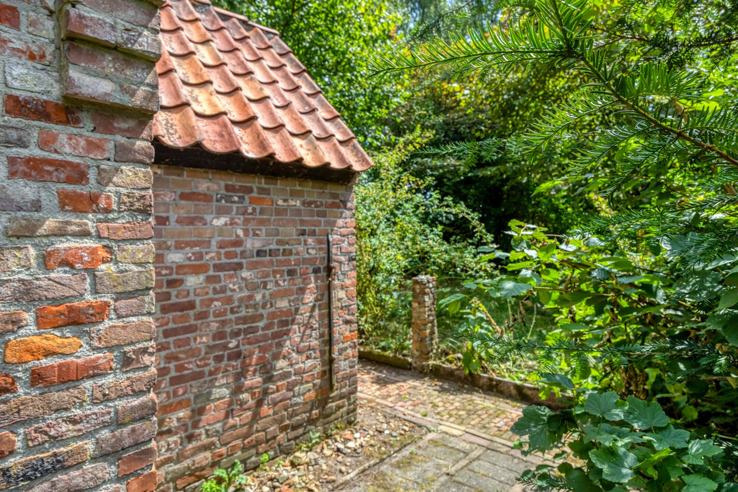 Foto 29 van Brakel 3