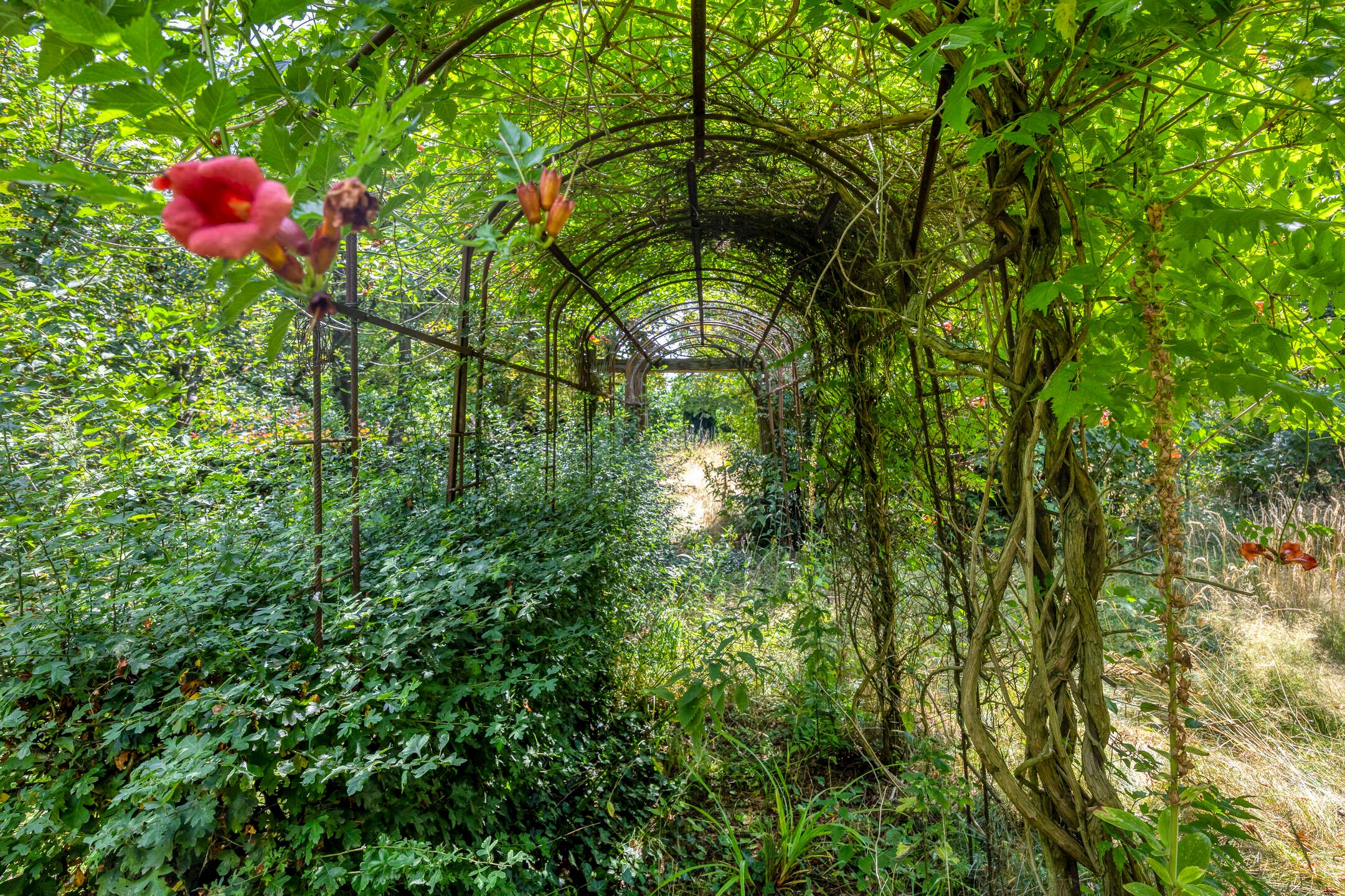 Foto 30 van Brakel 3