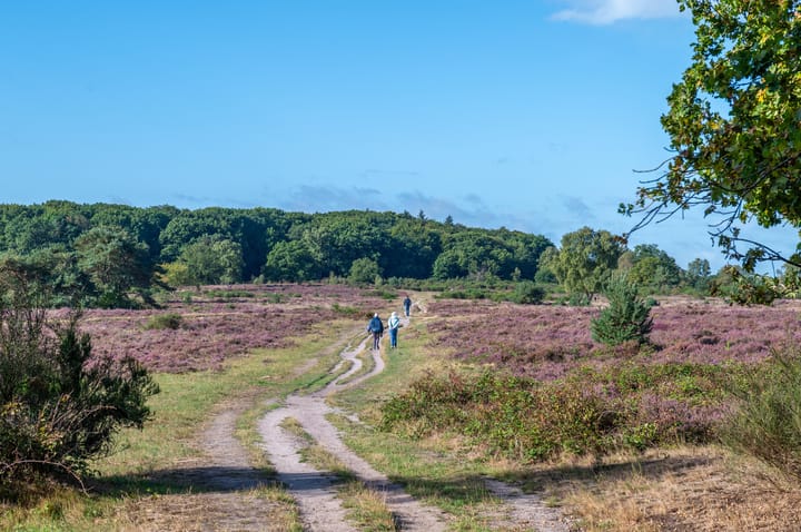 Foto 31 van Eikbosserweg 102