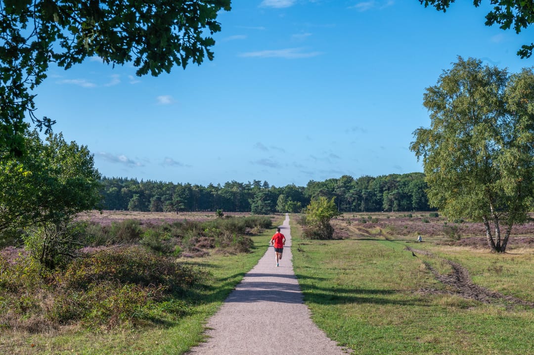 Photo 32 of Eikbosserweg 102