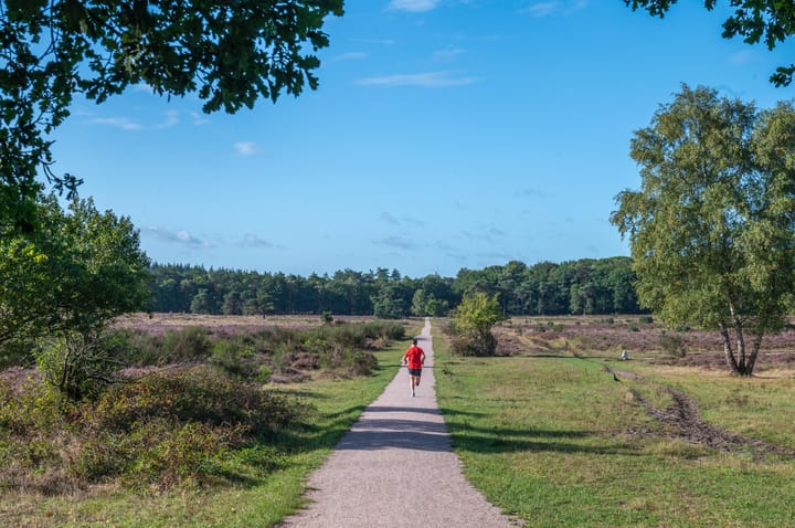 Foto 32 van Eikbosserweg 102