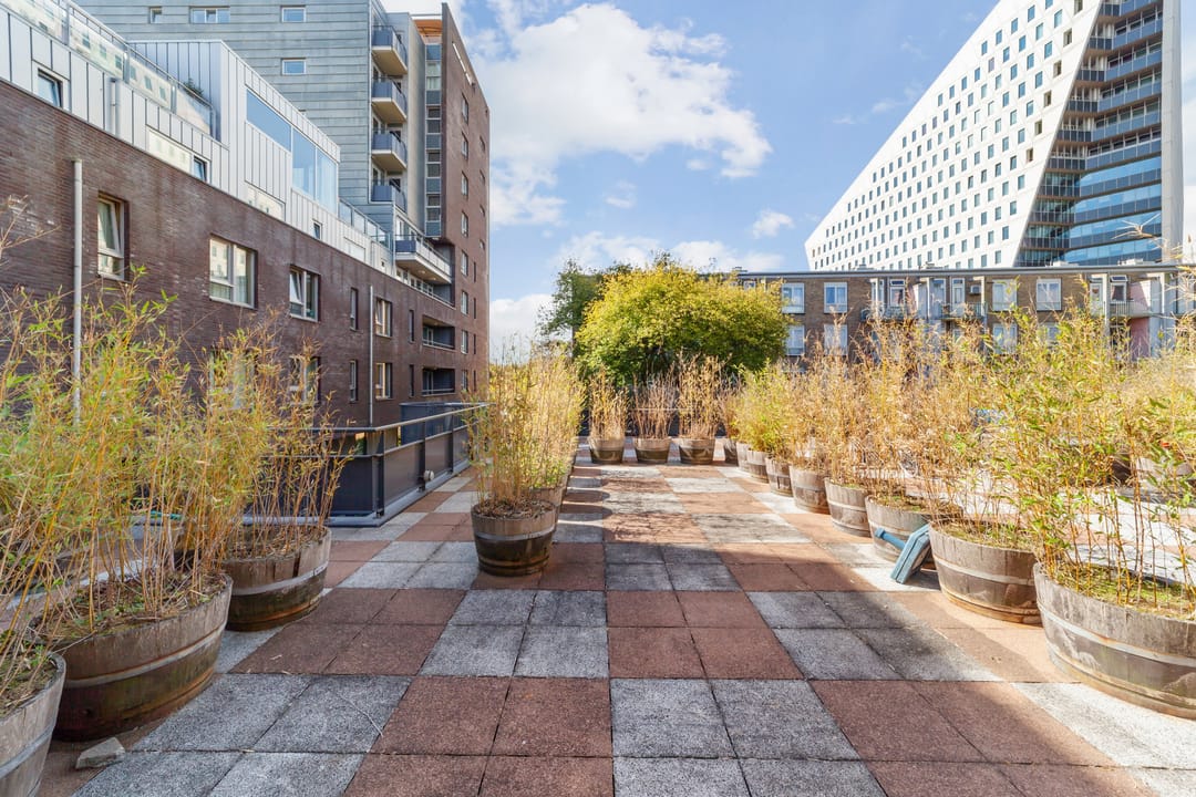 Photo 13 of Zwartsluisstraat 121