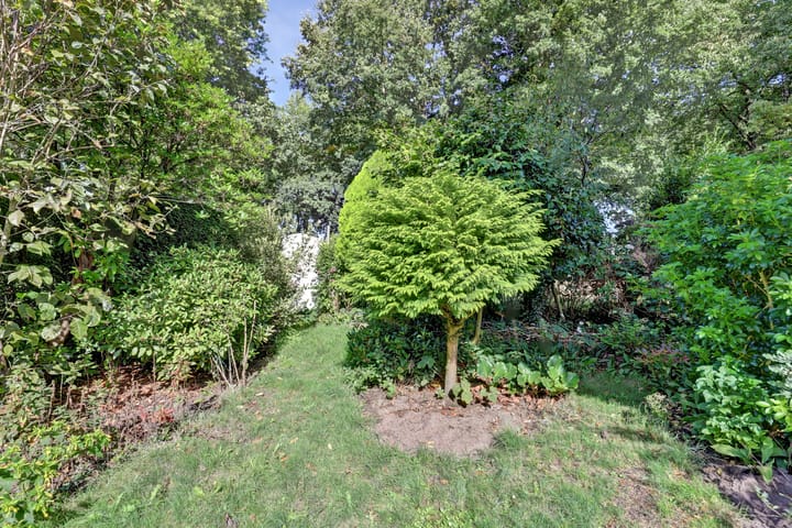 Photo 29 of Molenacker 68