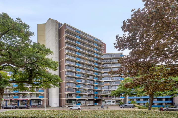 Foto 21 van Kronenburgersingel 199