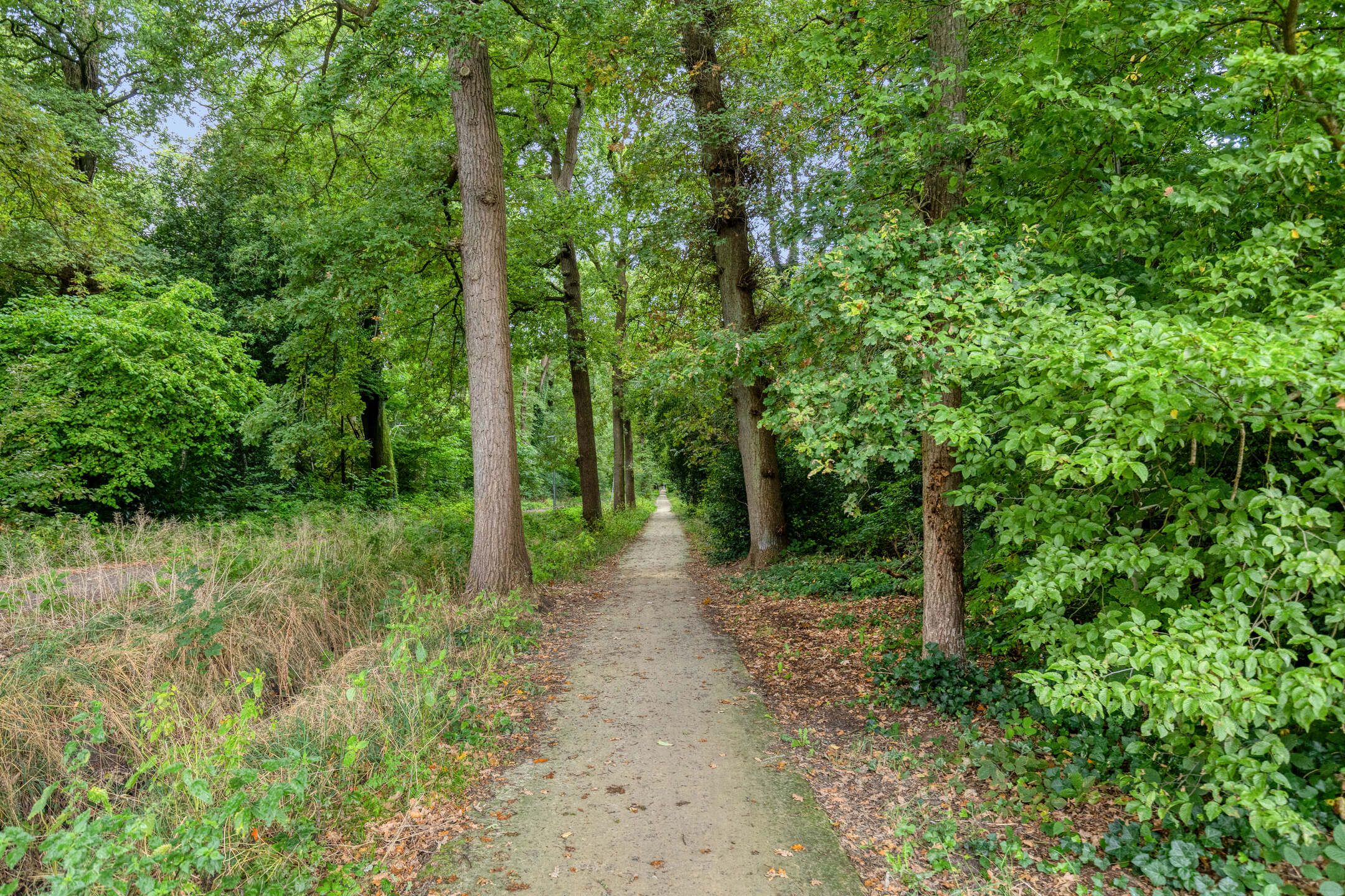 Foto 33 van Oosterhoutstraat 85