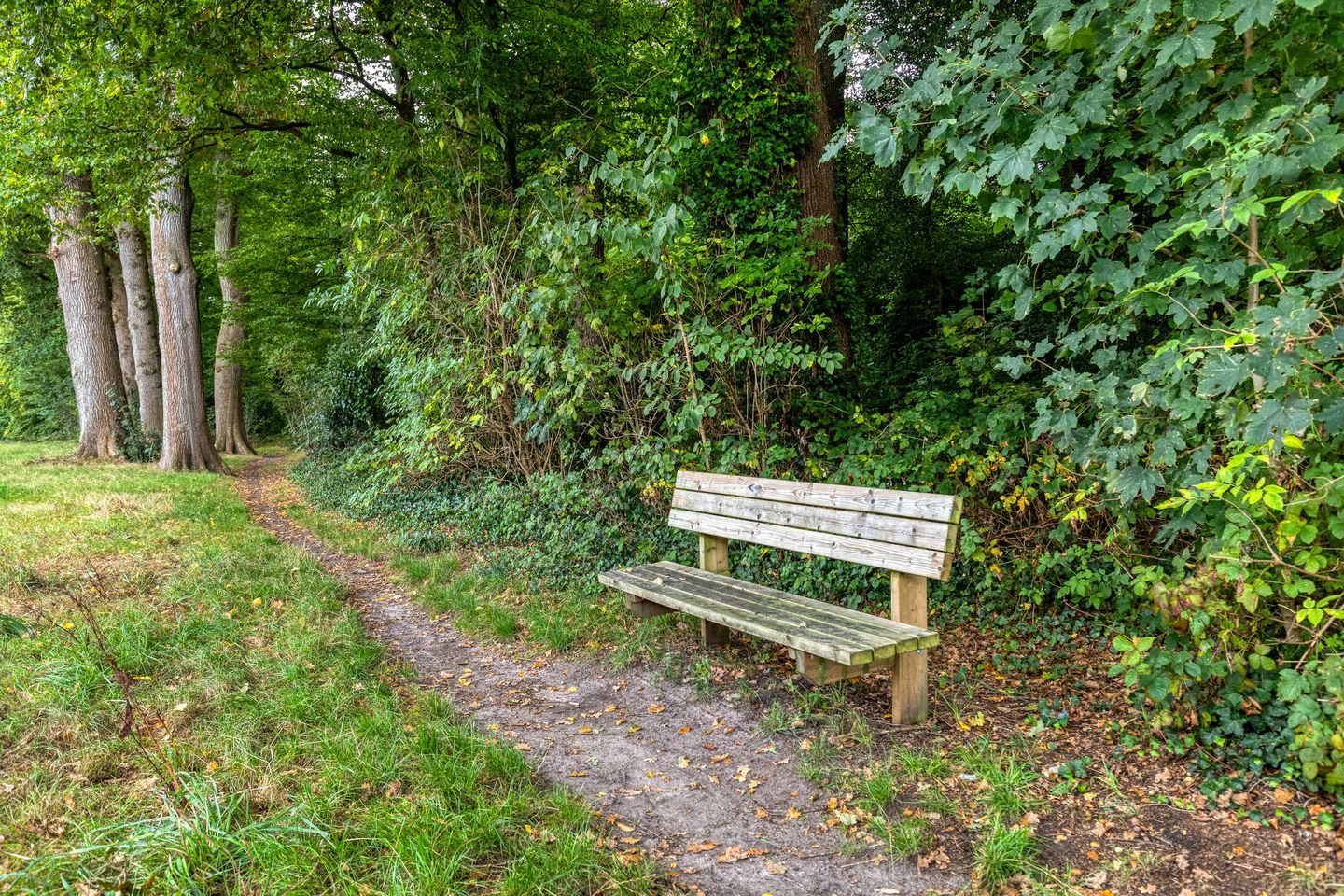 Foto 34 van Oosterhoutstraat 85