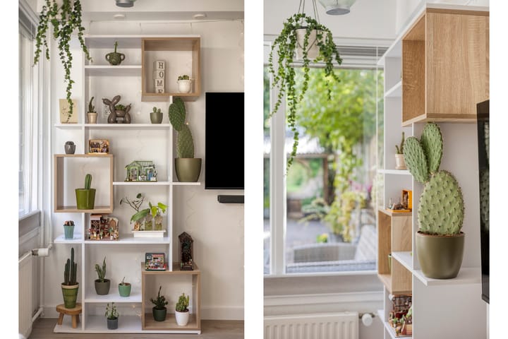 Foto 9 van Ypelobrink 105