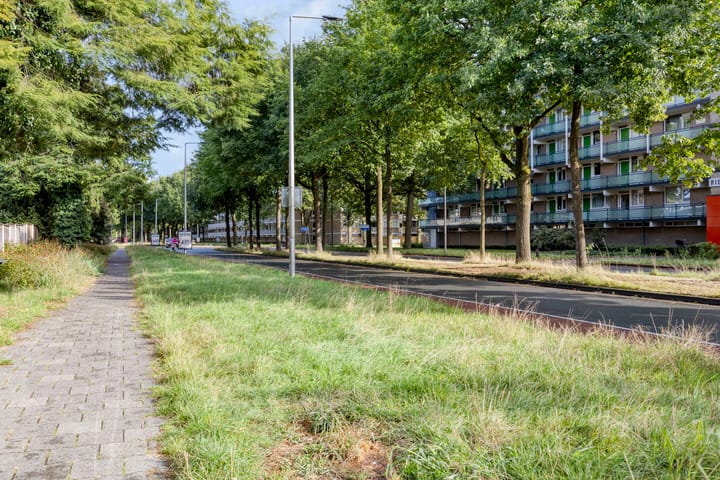 Foto 41 van Ypelobrink 105