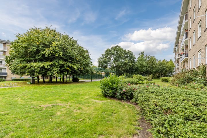 Foto 21 van Bachstraat 44