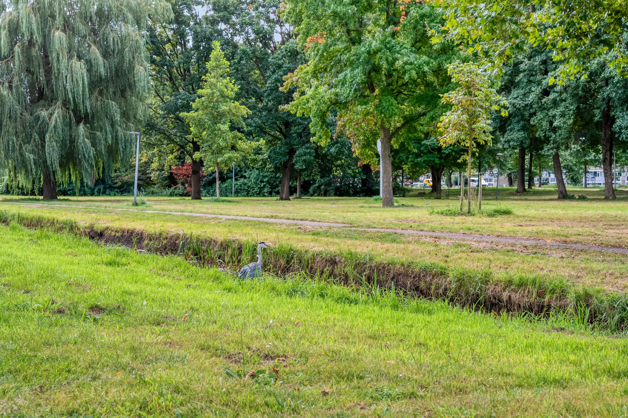 Foto 30 van van Gelderplantsoen 18