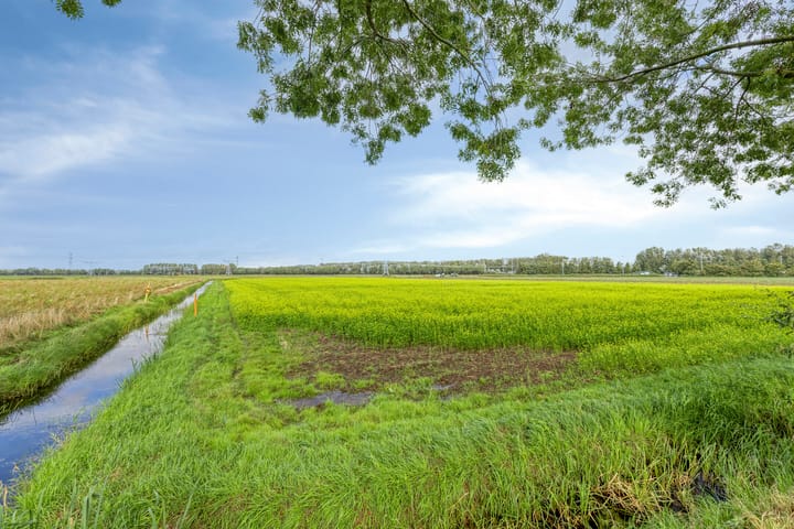 Foto 31 van Vondelinghof 10