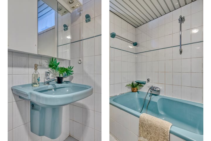 Foto 25 van Muurvaren 37